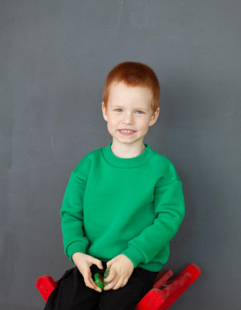 Світшот Джойс зелений з начосом