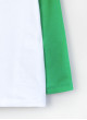 Реглан Элвин бело-зелёный Дино  цифра с именем