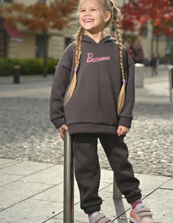 Толстовка Алекс темно-сіра Весняна 