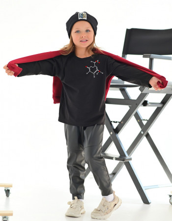 Лонгслив Лінк чорний Формула Лонгслив Лінк чорний Формула