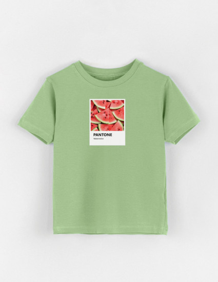 Футболка Овер фісташка Pantone Watermelon