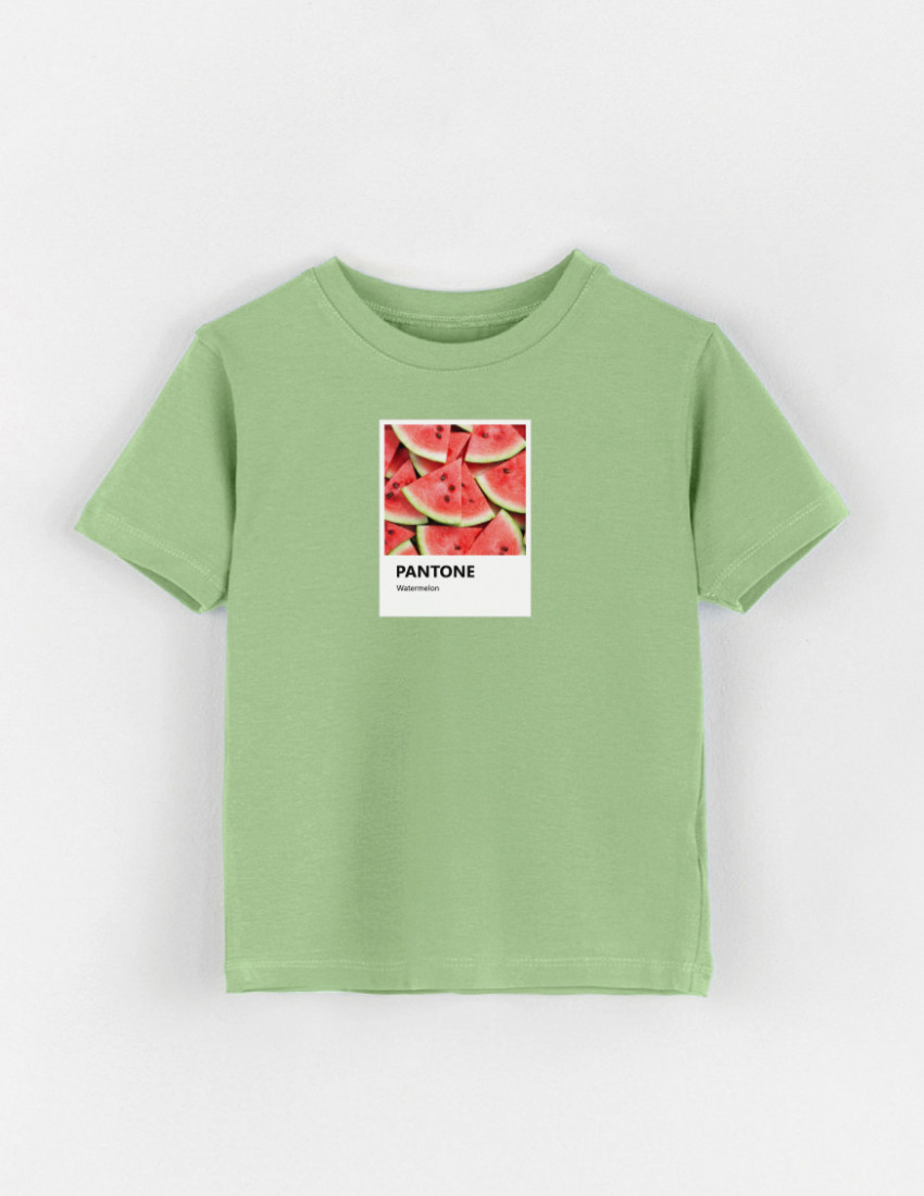 Футболка Овер фісташка Pantone Watermelon Футболка Овер фісташка Pantone Watermelon