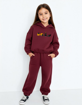 Костюм Ларсон марсала Пухнасті бешкетники