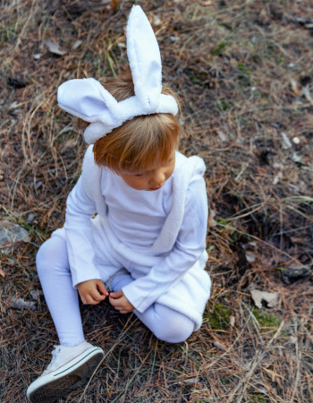 Вушка Зайчика білі